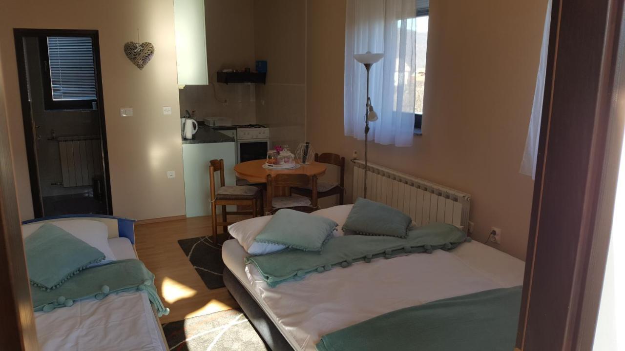 Studio Apartman Salopek Огулин Экстерьер фото
