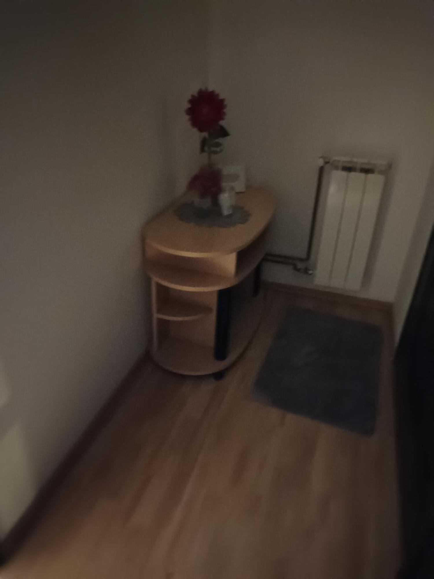 Studio Apartman Salopek Огулин Экстерьер фото