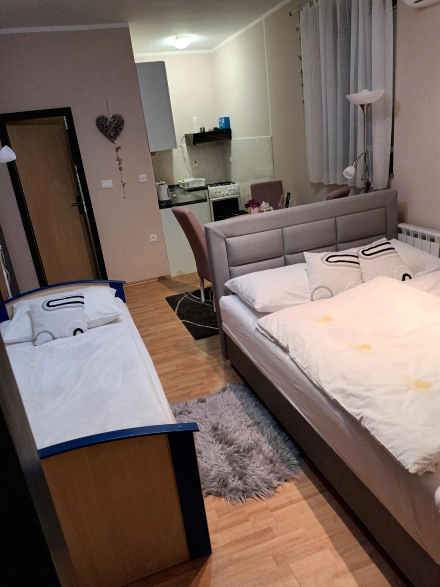 Studio Apartman Salopek Огулин Экстерьер фото